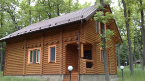 деревянный дом из оцилиндрованного бревна